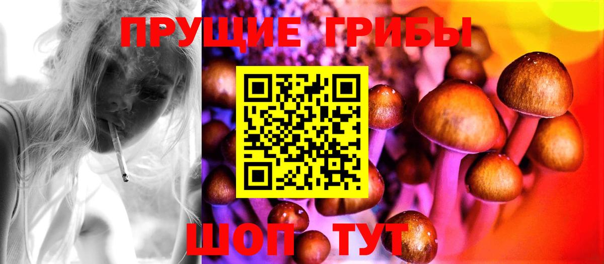 Псилоцибиновые грибы GOLDEN TEACHER  Вход с VPN  Пугачёв  Псилоцибиновые грибы ЛСД 